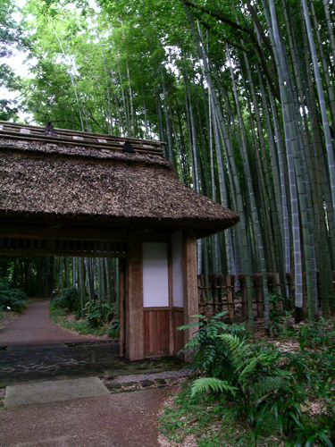 長野のデザイン住宅設計事務所